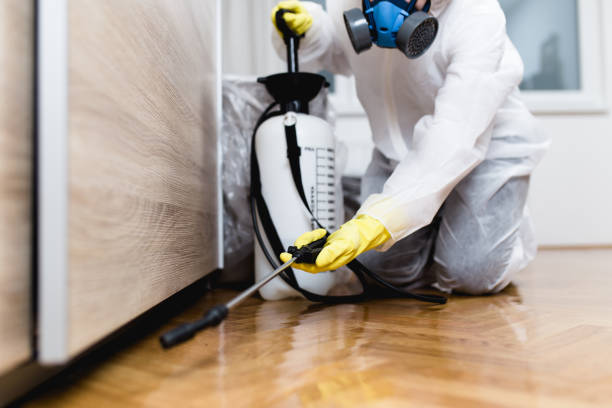 Best Pest Prevention Services  in Soperton, GA