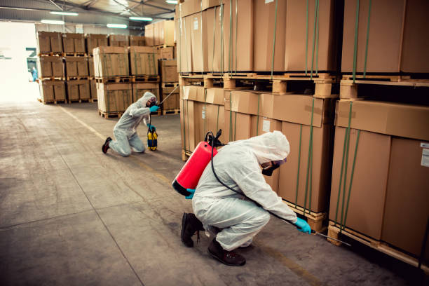 Best Cockroach Control Services  in Soperton, GA