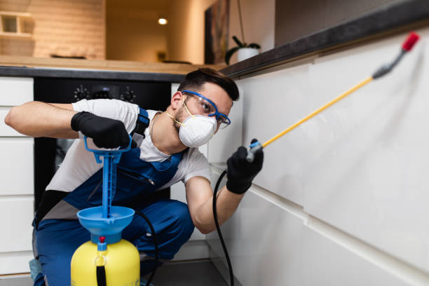 Best Pest Prevention Services  in Soperton, GA