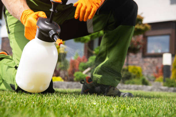 Best Mosquito Control Services  in Soperton, GA