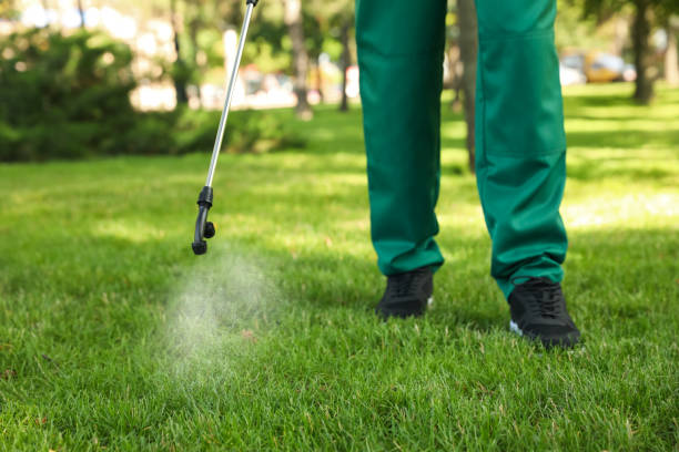 Best Termite Control Services  in Soperton, GA